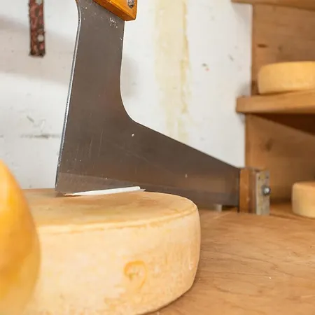 Gospodarstwo agroturystyczne Seetalhof Hollersbach im Pinzgau