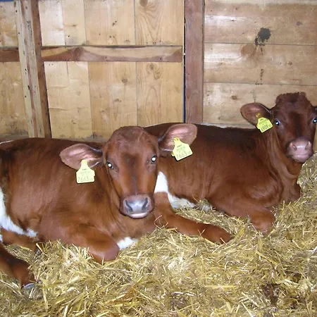 Gospodarstwo agroturystyczne Seetalhof