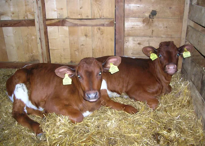 مزرعة للإقامة Seetalhof